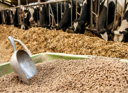 Feed Mills